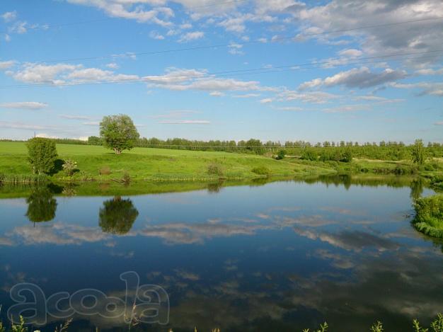 Зелёная миля, Мокрый корь 50 соток 500 000 руб.