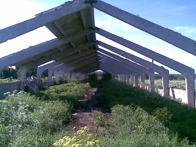 Аренда здания 1200 м2 на участке от 3 га под теплицу, конюшню, животноводство